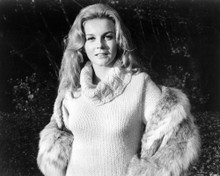 ANN-MARGRET SEXY IN SWEATER RARE POSE PRINTS AND POSTERS 194653