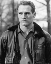 PAUL NEWMAN PRINTS AND POSTERS 194449