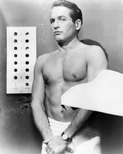PAUL NEWMAN PRINTS AND POSTERS 194441