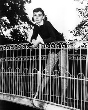 AUDREY HEPBURN LEANING ON FENCE PIGTAILS BEAUTIFUL POSE PRINTS AND POSTERS 194424