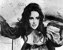 ELIZABETH TAYLOR PRINTS AND POSTERS 194408