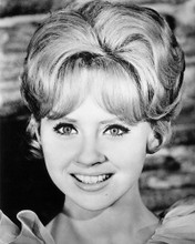 MELODY PATTERSON F TROOP BEAUTIFUL SMILING HEAD SHOT PRINTS AND POSTERS 194406