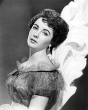 ELIZABETH TAYLOR 1950'S GLAMOUR POSE SHORT HAIR BEAUTIFUL PRINTS AND POSTERS 194391