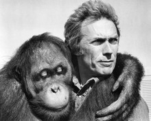 CLINT EASTWOOD EVERY WHICH WAY BUT LOOSE WITH CLYDE ORANGUTAN PRINTS AND POSTERS 194386
