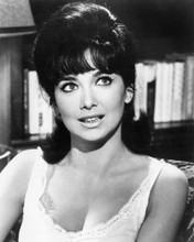 SUZANNE PLESHETTE PRINTS AND POSTERS 194042