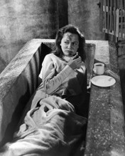 DRACULA VALERIE GAUNT LYING IN COFFIN WITH TEA ON SET 1958 PRINTS AND POSTERS 193593