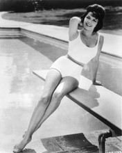 ANNETTE FUNICELLO PRINTS AND POSTERS 193535
