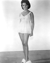 ANNETTE FUNICELLO PRINTS AND POSTERS 193531