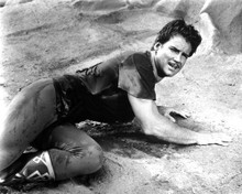 STEVE REEVES RUGGED ON ROCKS PRINTS AND POSTERS 193462