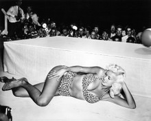 JAYNE MANSFIELD PRINTS AND POSTERS 193404