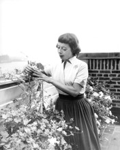 IMOGENE COCA ON ROOFTOP GARDEN PRINTS AND POSTERS 193200