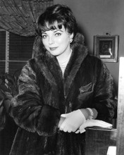 JOAN COLLINS IN FUR COAT AND GLOVES 1960'S PRINTS AND POSTERS 193156