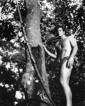 TARZAN RON ELY TV BARECHESTED PRINTS AND POSTERS 192208