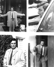 COLUMBO PETER FALK MONTAGE PRINTS AND POSTERS 192026