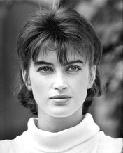 AMANDA PAYS PRINTS AND POSTERS 191601