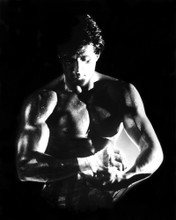 SYLVESTER STALLONE ROCKY STUNNING PRINTS AND POSTERS 191533