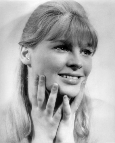 darling movie julie christie