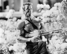 ARNOLD SCHWARZENEGGER PRINTS AND POSTERS 191372