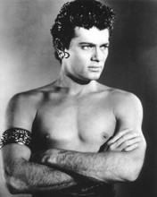 TONY CURTIS BARECHESTED HUNKY BEEFCAKE PRINTS AND POSTERS 191340