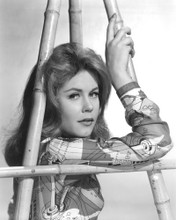 ELIZABETH MONTGOMERY PRINTS AND POSTERS 191217