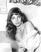 JOAN COLLINS SEXY SULTRY BUSTY POSE PRINTS AND POSTERS 191215