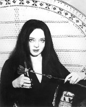 THE ADDAMS FAMILY CAROLYN JONES IN CHAIR PRINTS AND POSTERS 191204