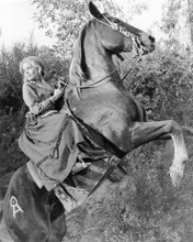 MARTA KRISTEN ON HORSEBACK RARE PRINTS AND POSTERS 190954
