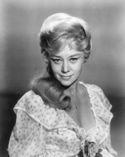GLYNIS JOHNS PRINTS AND POSTERS 190910