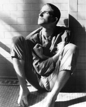 MATTHEW MODINE BIRDY CLASSIC POSE PRINTS AND POSTERS 190826