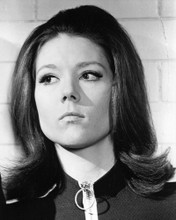 DIANA RIGG THE AVENGERS EMMA PEEL PRINTS AND POSTERS 190760