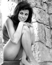 RAQUEL WELCH SEXY LEGGY POSE SMILING PRINTS AND POSTERS 190702