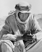 PETER O'TOOLE LAWRENCE OF ARABIA PRINTS AND POSTERS 190697
