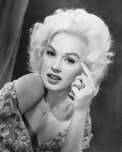 MAMIE VAN DOREN SEXY GLAMOUR POSE PRINTS AND POSTERS 190472