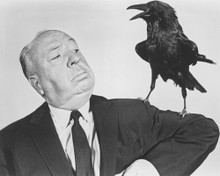 ALFRED HITCHCOCK THE BIRDS CLASSIC PRINTS AND POSTERS 190460