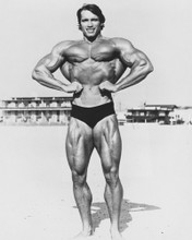 ARNOLD SCHWARZENEGGER BODY BUILDING POSE PRINTS AND POSTERS 190456