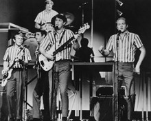 THE BEACH BOYS PRINTS AND POSTERS 190358