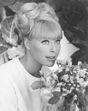 ELKE SOMMER PRINTS AND POSTERS 190333