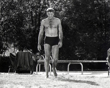 THE SWIMMER BURT LANCASTER BARE CHESTED PRINTS AND POSTERS 190212