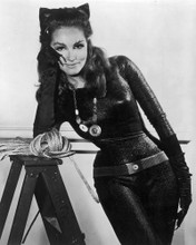 JULIE NEWMAR PRINTS AND POSTERS 190195