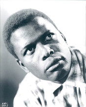 SIDNEY POITIER PRINTS AND POSTERS 190130