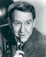 BURGESS MEREDITH CLASSIC PORTRAIT PRINTS AND POSTERS 190102