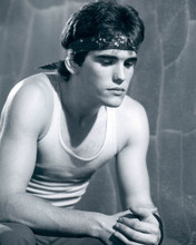 MATT DILLON IN VEST THE OUTSIDERS PRINTS AND POSTERS 190072