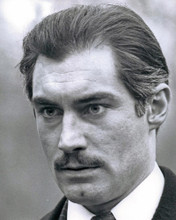 TIMOTHY DALTON PORTRAIT FROM AGATHA PRINTS AND POSTERS 190068