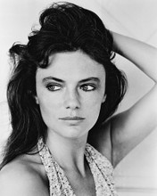 JACQUELINE BISSET PRINTS AND POSTERS 18928