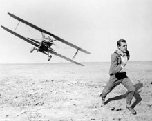 NORTH BY NORTHWEST CARY GRANT CROP DUSTER PRINTS AND POSTERS 188896