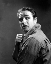 MARLON BRANDO ON THE WATERFRONT PRINTS AND POSTERS 187715