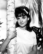 DAWN WELLS GILLIGAN'S ISLAND POSE PRINTS AND POSTERS 187465