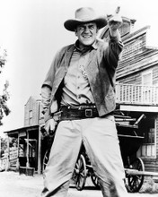 JAMES ARNESS PRINTS AND POSTERS 187072