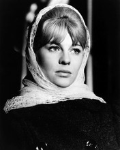 JULIE CHRISTIE DOCTOR ZHIVAGO PRINTS AND POSTERS 186805