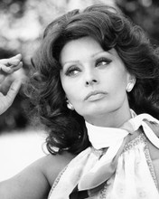 SOPHIA LOREN EARLY 1970'S GLAMOUR PRINTS AND POSTERS 186642